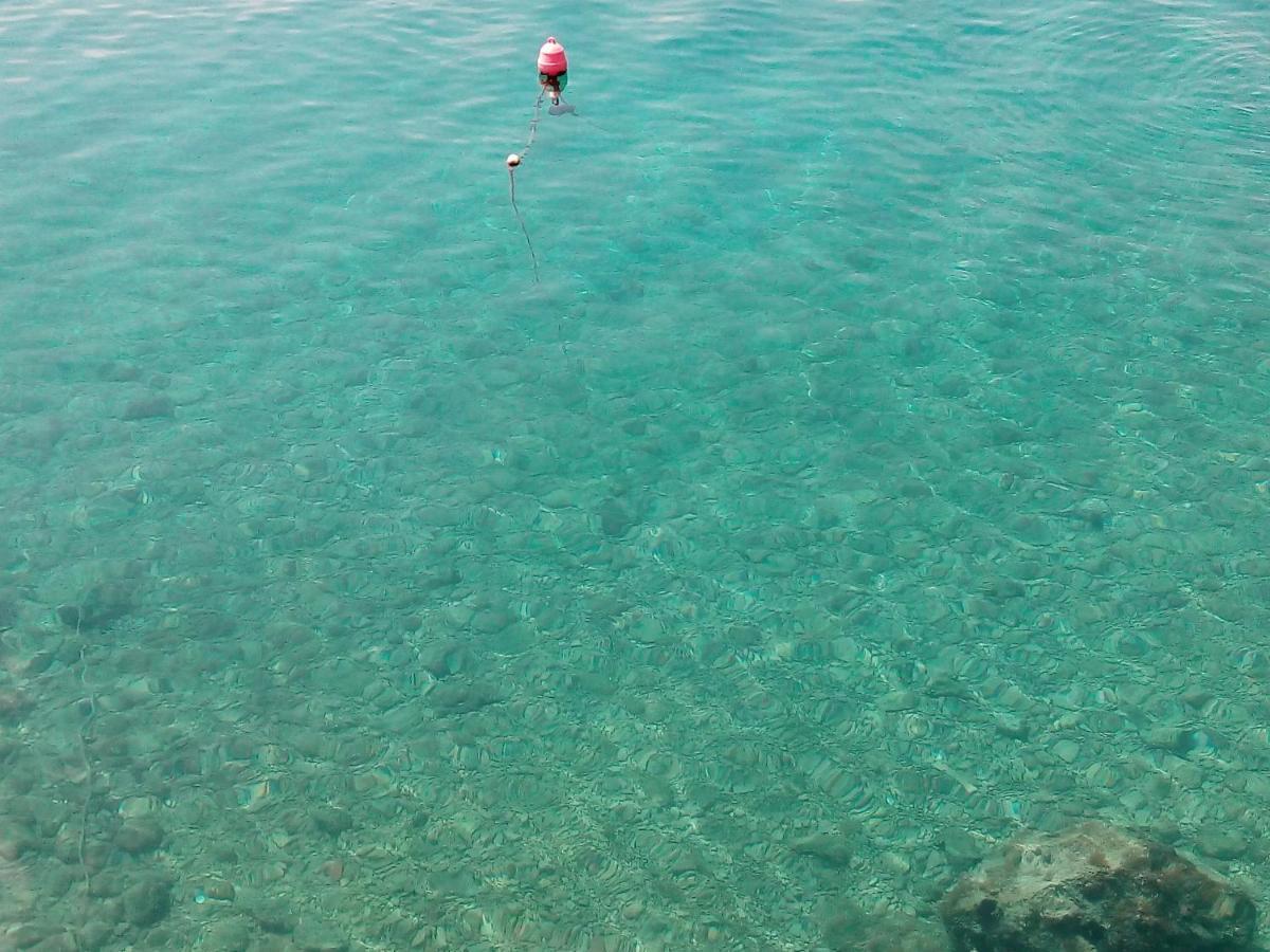 Villa Ana Zivogosce-Apartment4 Εξωτερικό φωτογραφία