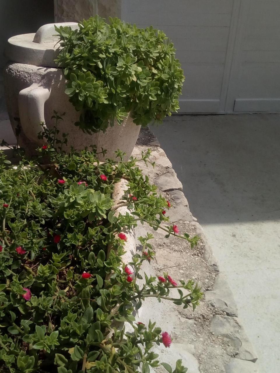 Villa Ana Zivogosce-Apartment4 Εξωτερικό φωτογραφία